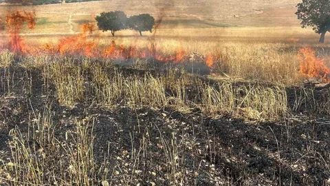 Çınar'da Tarla Yangını Meydana Geldi