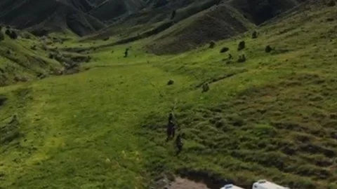 Tunceli'de Ayı Saldırısı