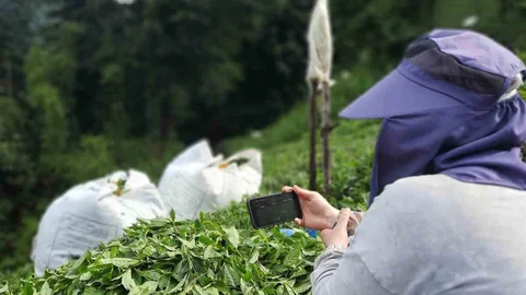 Rize'de Milli Maç Coşkusu Yaşandı
