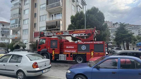 Bursa'da Karga Kurtarma Operasyonu