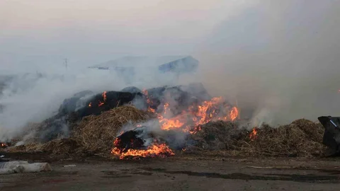 Adana'da Anız Yakma Uyarısı