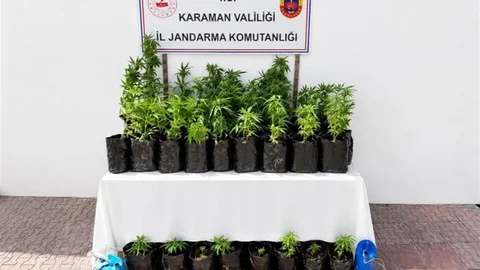 Karaman'da Kenevir Operasyonu