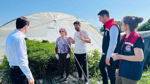 Bozdoğan'da Tarımsal Üretim Değerlendirildi