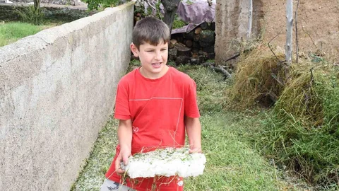 Yozgat'ta Dolu ve Sel Zararı