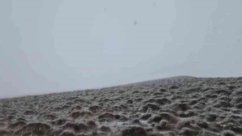 Süphan Dağı'nda Haziran Karı