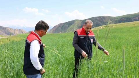 Kars'ta Fenolojik Gözlem Çalışmaları Devam Ediyor