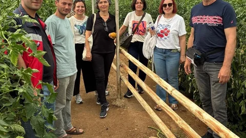 Kütahya Simav'da Domates Eğitimi Verildi
