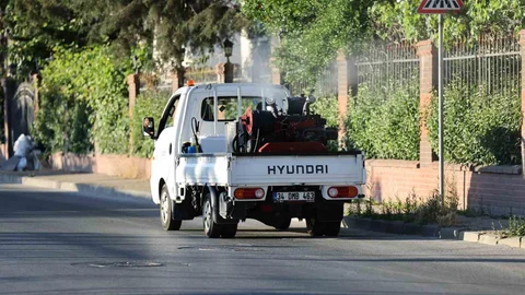 Küçükçekmece'de Sivrisinek Mücadelesi Artıyor