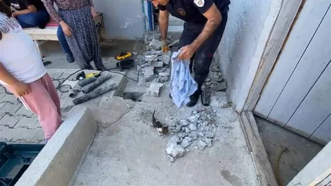 Malatya'da Yavru Kedi Kurtarıldı