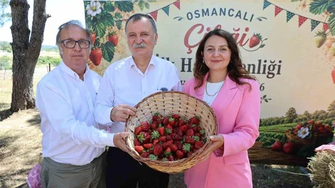 Osmancalı Çileği İlk Hasat Şenliği Yapıldı
