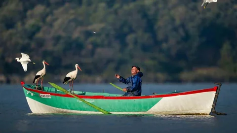 Bursa'da Leyleklerle Dolu Bir Hikaye