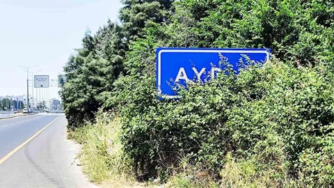 Aydın Tabelası Çalılar İçinde Kayboldu