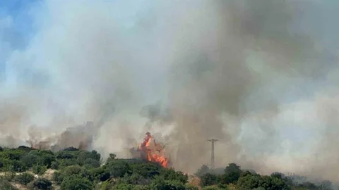 Çanakkale'de Orman Yangını Başladı