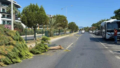 Alanya'da Alkollü Sürücü Kazaya Neden Oldu