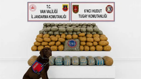 Van'da 291 Kilogram Esrar Yakalandı