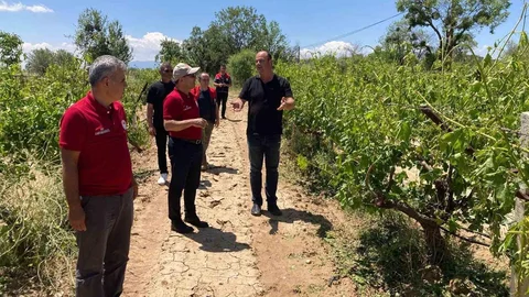 Çal'da Dolu Yağışı Tarıma Zarar Verdi
