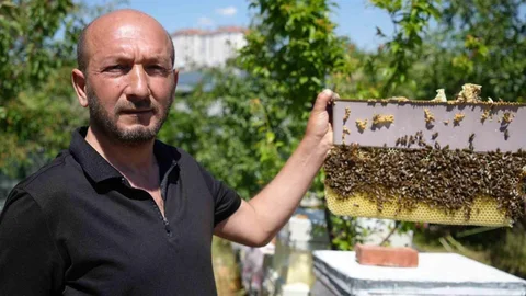 Ankara'da Arılarla Yaşayan Adam