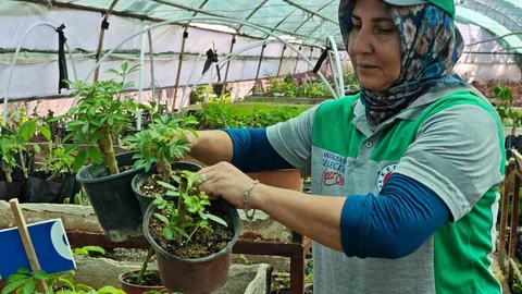 Kepez'de Yeşil Alanlar Artıyor