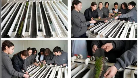 Türk Gençlerinin Uluslararası Başarısı