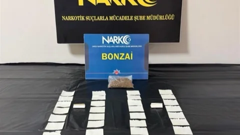 Ordu'da Uyuşturucu Operasyonu
