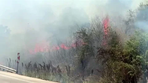 Bursa'da Otluk Alanda Yangın Çıktı