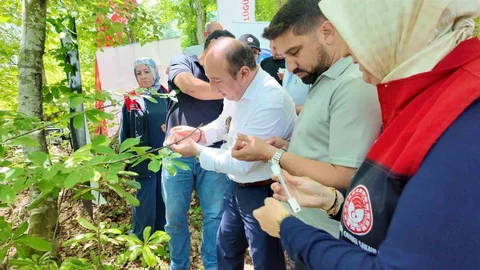 Düzce'de Samuray Arıları Salındı