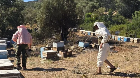 Muğla Datça'da Yangın Kontrol Altına Alındı