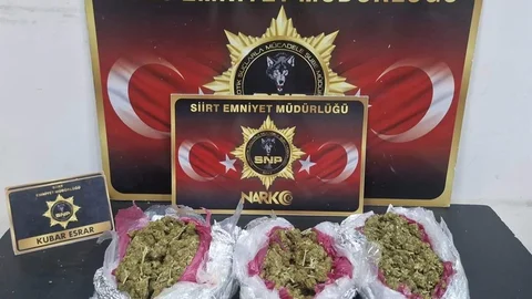 Siirt'te Suç Unsurları Ele Geçirildi