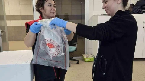 Söke'de Su Ürünlerine Denetim