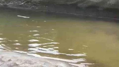 Rize'de Alabalık Tesisinde Balık Telef Oldu