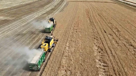 Adıyaman'da Hububat Hasadı Başladı