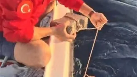 Aydın'da Kaplumbağa Kurtarma Çabası
