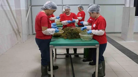 Efeler'de Kadın Emeği İle Üretim Artıyor