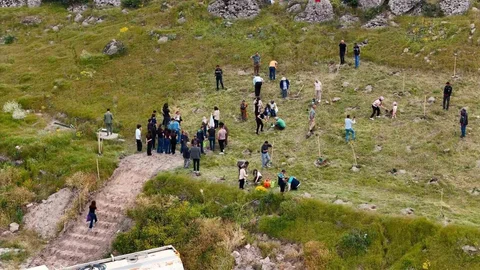 Kayseri'de 300 Fidan Dikildi