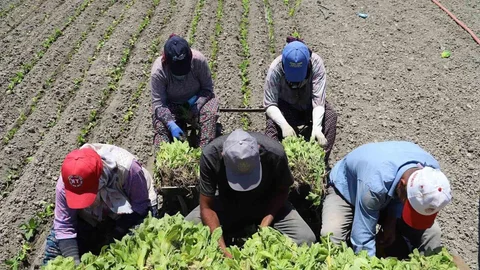 Bursa'da Emsal Karar: İhbar Tazminatı Alacaklar