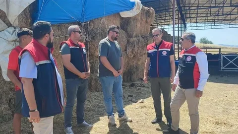 Çine'de 30 Baş Etçi Düve Desteği Verildi