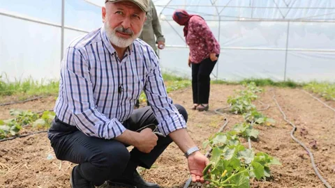 Kayseri'de Tarımsal Proje Başarıyla Devam Ediyor