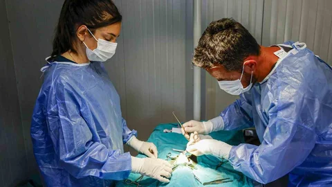 Antalya'da Mobil Kısırlaştırma Hizmeti Başladı