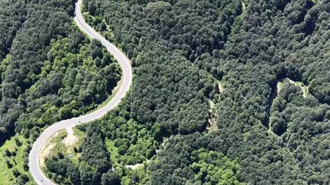 Bursa Ormanlarında Eşsiz Manzaralar