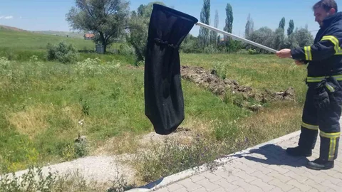Çorum'da Eve Giren Yılan Yakalandı