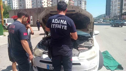 Adana'da Kedi Kurtarma Operasyonu