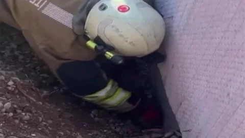 Kahramanmaraş'ta Yavru Kedi Kurtarıldı
