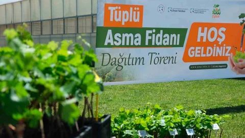 Tokat'ta Bağcılık Desteği Dağıtıldı