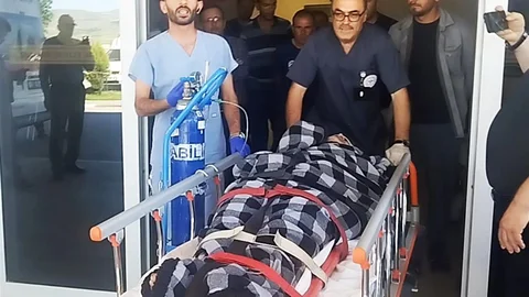 Sivas'ta Ayı Saldırısı ve Kangal Kurtuluşu