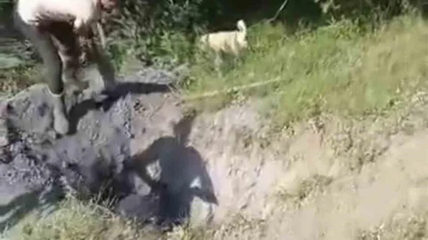 Bursa'da Büyükbaş Hayvan Define Çukuruna Düştü