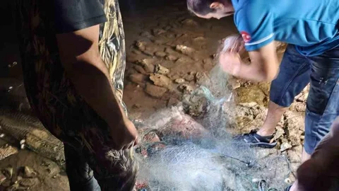 Didim'de Sahipsiz Balık Ağlarına Müdahale