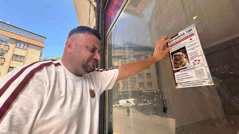 Trabzon'da Kaybolan Kedinin Peşindeler