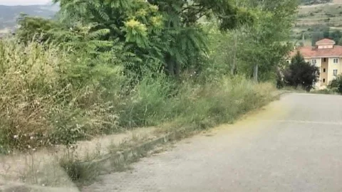 Bilecik'te Yılan Korkusu Başladı