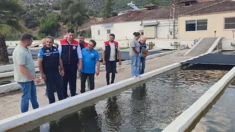 Bozdoğan'da Su Ürünleri Üretimi Artıyor