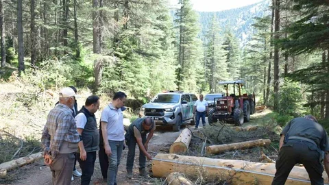 Kahramanmaraş'ta Yangın Önlemi Alınıyor